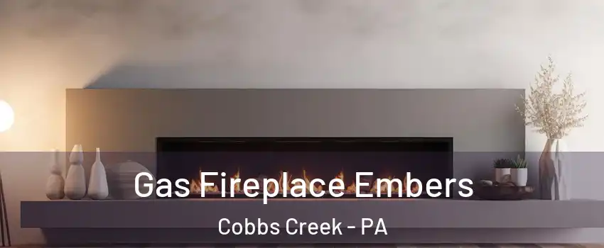 Gas Fireplace Embers Cobbs Creek - PA