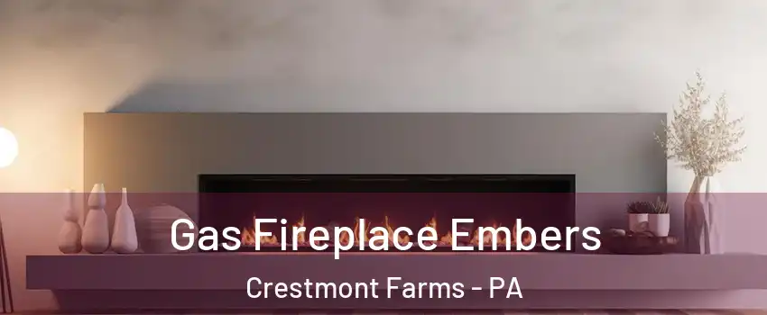 Gas Fireplace Embers Crestmont Farms - PA