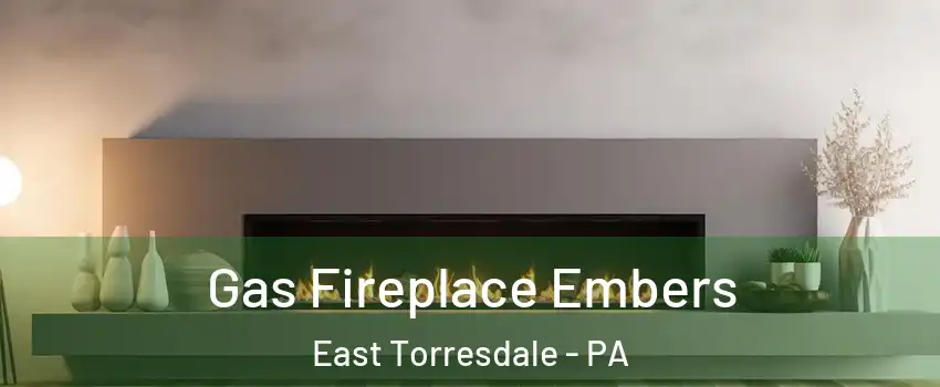 Gas Fireplace Embers East Torresdale - PA