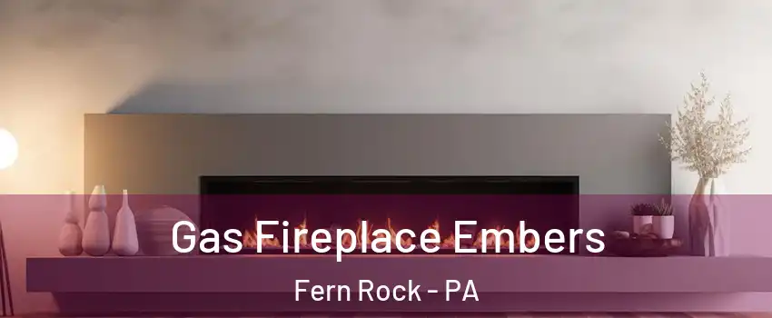 Gas Fireplace Embers Fern Rock - PA