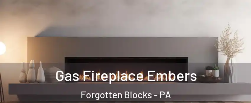 Gas Fireplace Embers Forgotten Blocks - PA