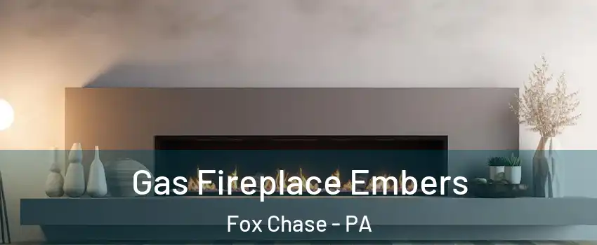 Gas Fireplace Embers Fox Chase - PA
