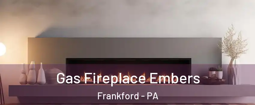 Gas Fireplace Embers Frankford - PA