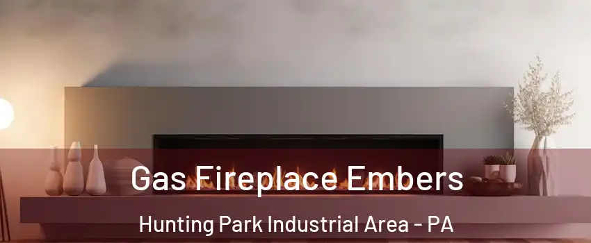 Gas Fireplace Embers Hunting Park Industrial Area - PA