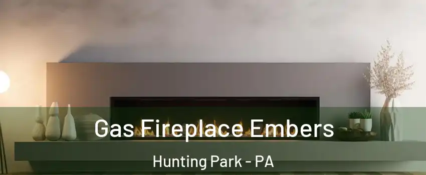 Gas Fireplace Embers Hunting Park - PA