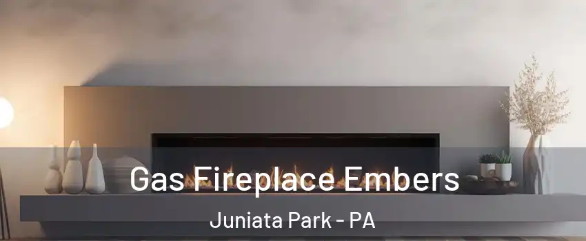 Gas Fireplace Embers Juniata Park - PA