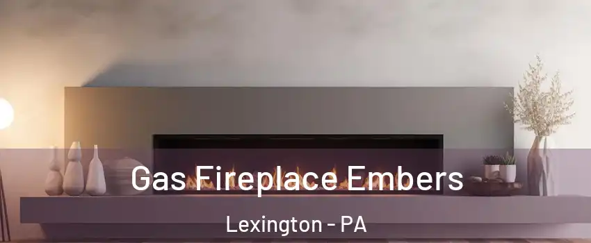 Gas Fireplace Embers Lexington - PA