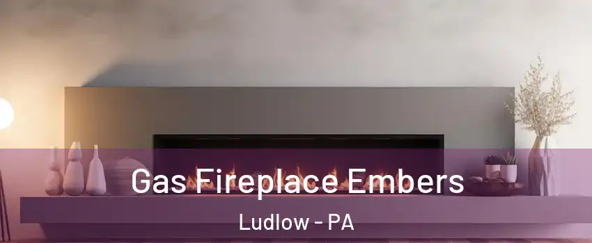 Gas Fireplace Embers Ludlow - PA