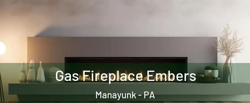 Gas Fireplace Embers Manayunk - PA