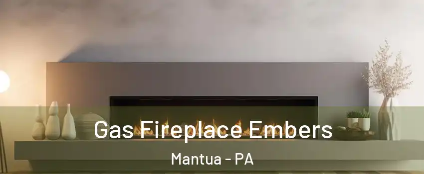 Gas Fireplace Embers Mantua - PA