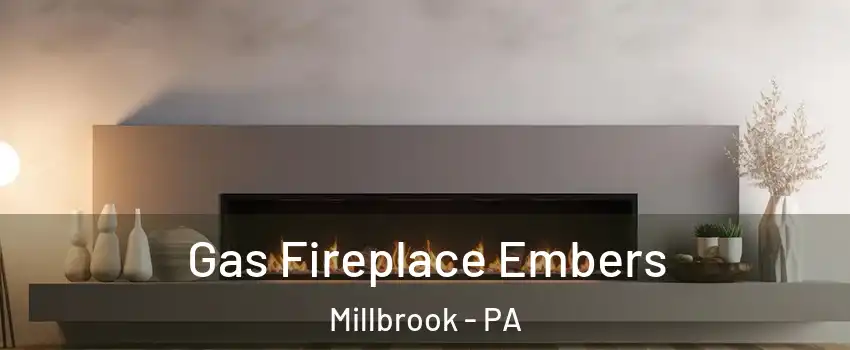 Gas Fireplace Embers Millbrook - PA