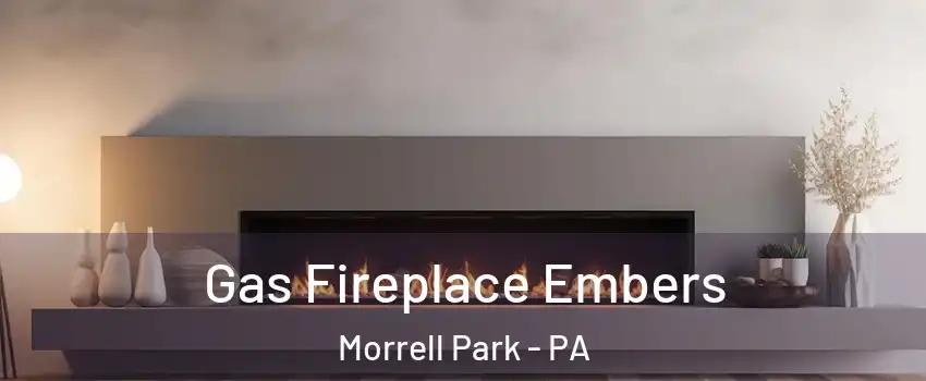 Gas Fireplace Embers Morrell Park - PA