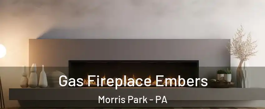 Gas Fireplace Embers Morris Park - PA