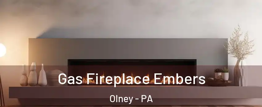 Gas Fireplace Embers Olney - PA