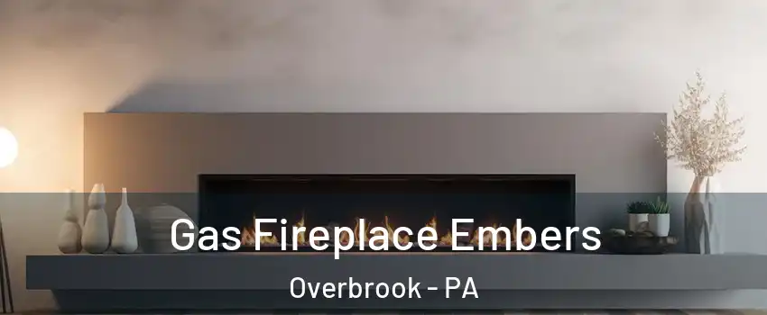 Gas Fireplace Embers Overbrook - PA