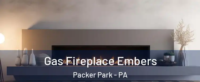 Gas Fireplace Embers Packer Park - PA