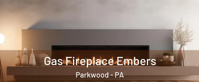 Gas Fireplace Embers Parkwood - PA