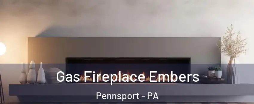 Gas Fireplace Embers Pennsport - PA