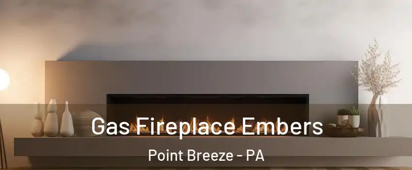 Gas Fireplace Embers Point Breeze - PA