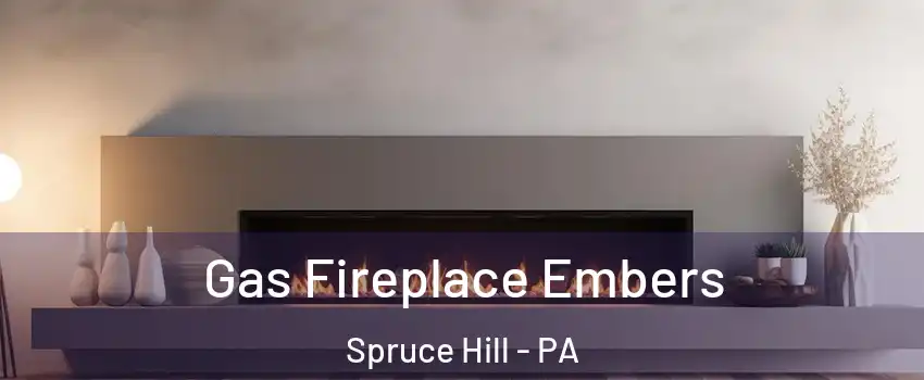 Gas Fireplace Embers Spruce Hill - PA
