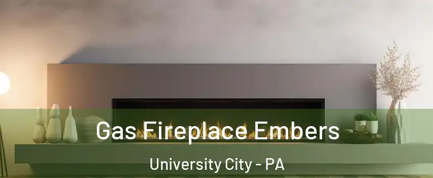 Gas Fireplace Embers University City - PA