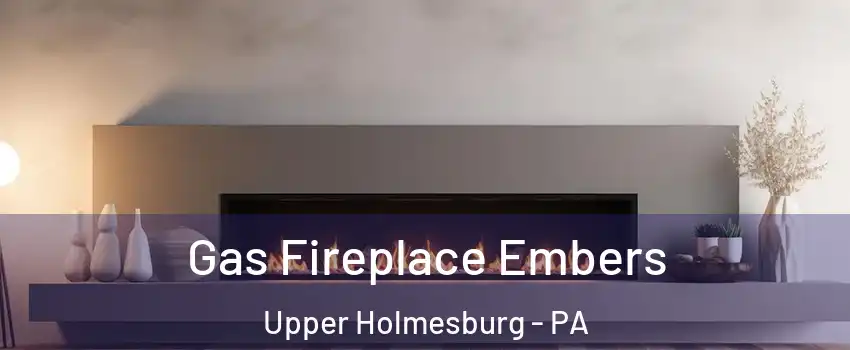 Gas Fireplace Embers Upper Holmesburg - PA