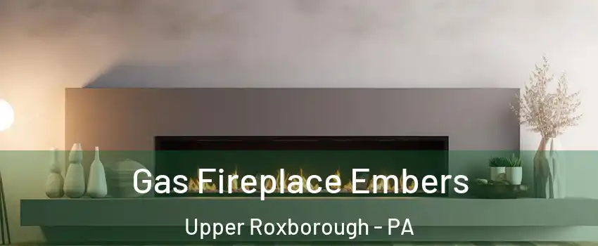 Gas Fireplace Embers Upper Roxborough - PA