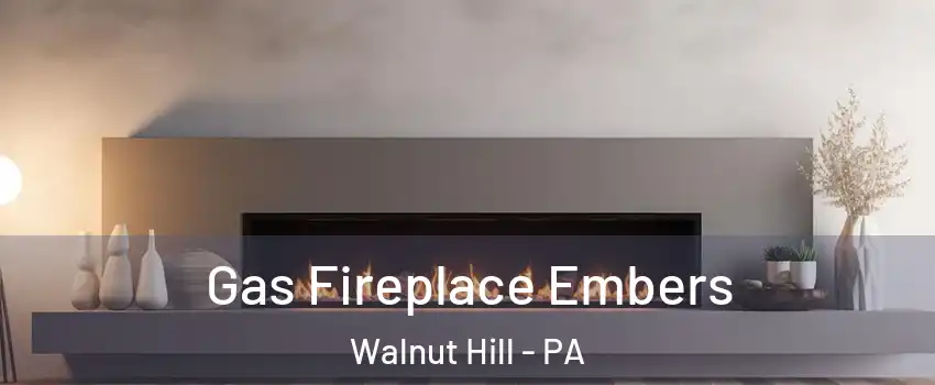 Gas Fireplace Embers Walnut Hill - PA