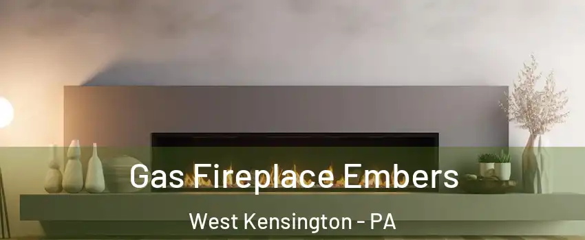 Gas Fireplace Embers West Kensington - PA