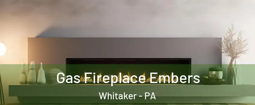 Gas Fireplace Embers Whitaker - PA