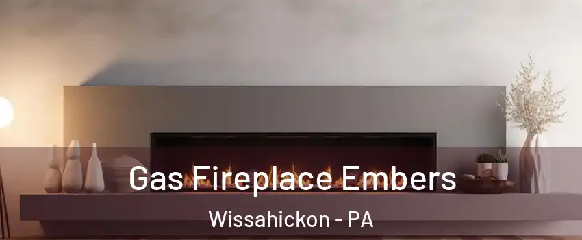 Gas Fireplace Embers Wissahickon - PA