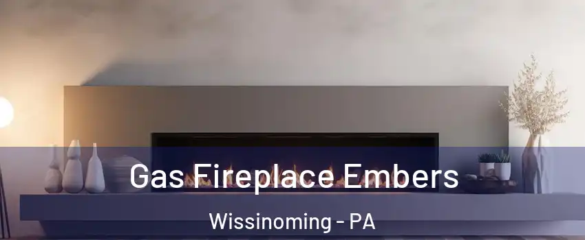 Gas Fireplace Embers Wissinoming - PA