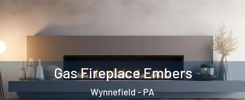 Gas Fireplace Embers Wynnefield - PA