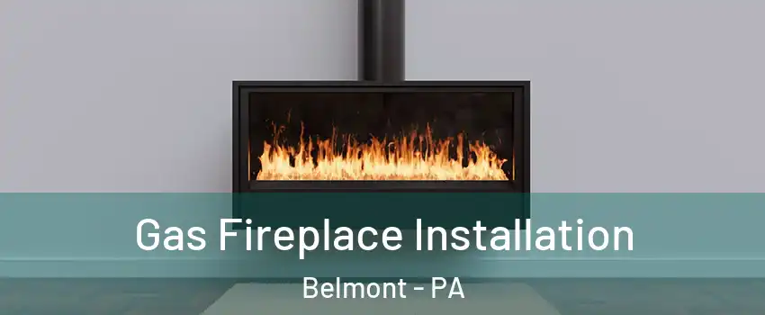 Gas Fireplace Installation Belmont - PA