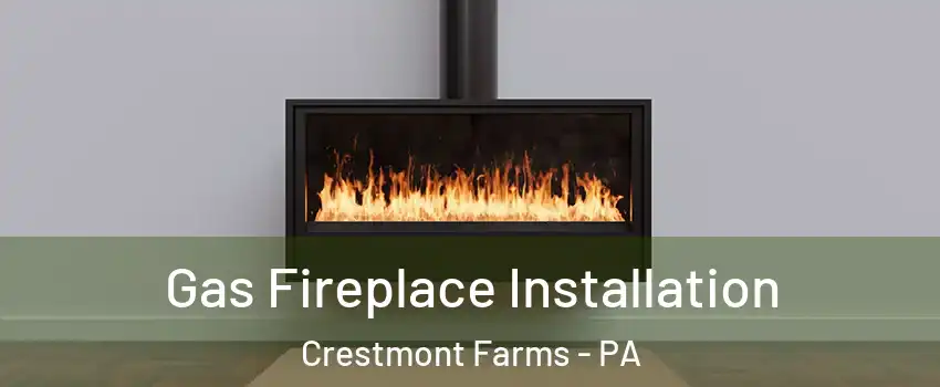 Gas Fireplace Installation Crestmont Farms - PA