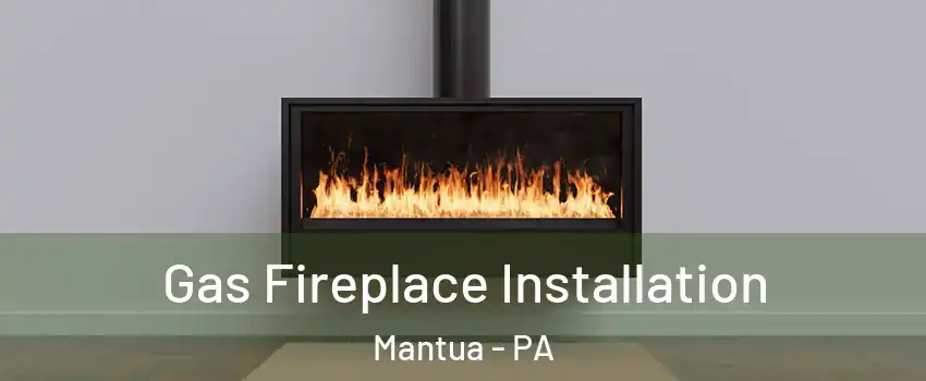 Gas Fireplace Installation Mantua - PA