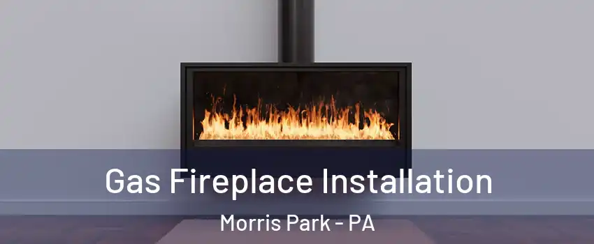 Gas Fireplace Installation Morris Park - PA