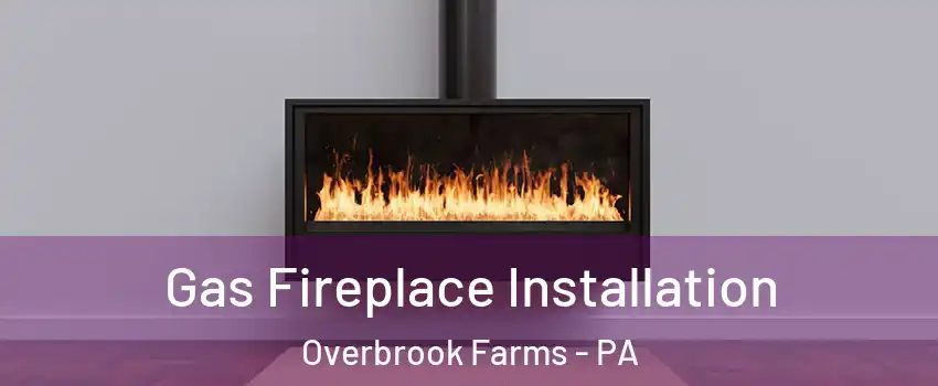 Gas Fireplace Installation Overbrook Farms - PA