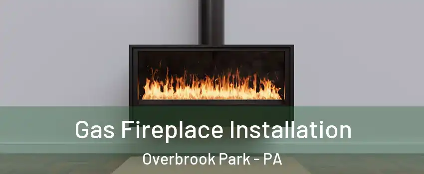 Gas Fireplace Installation Overbrook Park - PA