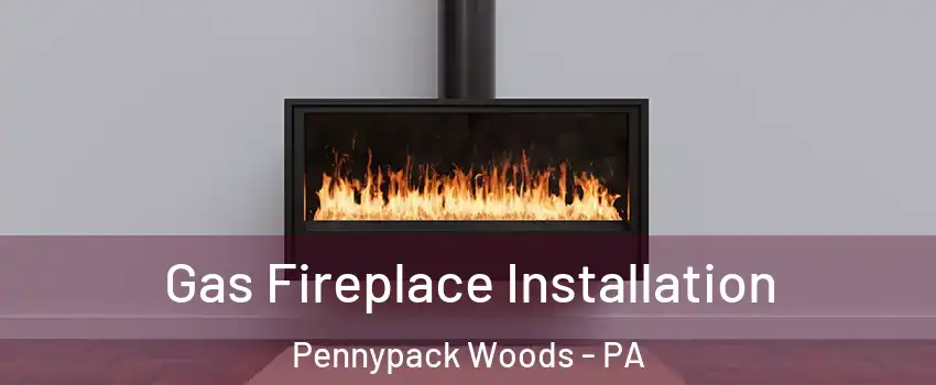 Gas Fireplace Installation Pennypack Woods - PA