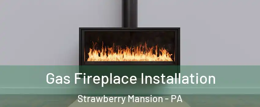 Gas Fireplace Installation Strawberry Mansion - PA