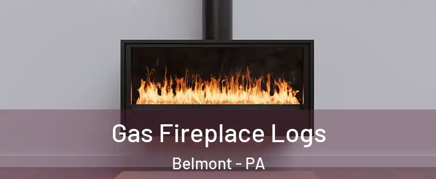 Gas Fireplace Logs Belmont - PA