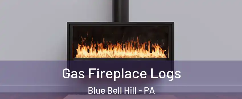 Gas Fireplace Logs Blue Bell Hill - PA