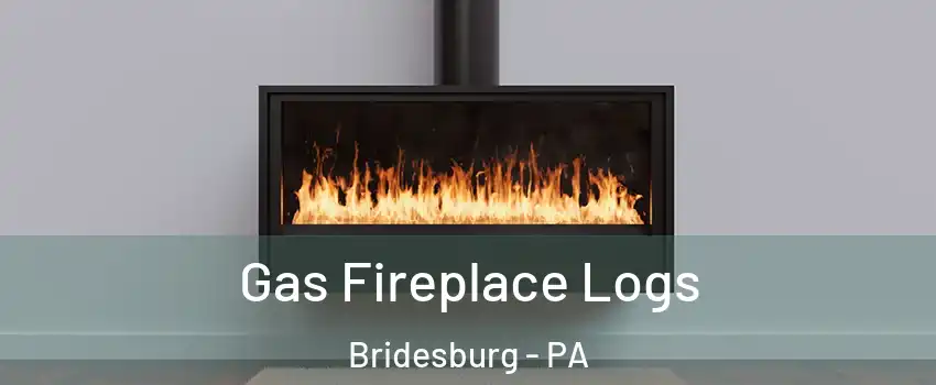 Gas Fireplace Logs Bridesburg - PA