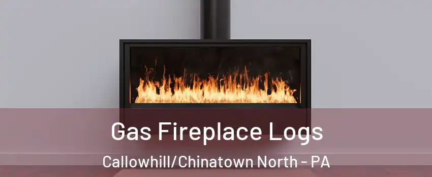 Gas Fireplace Logs Callowhill/Chinatown North - PA
