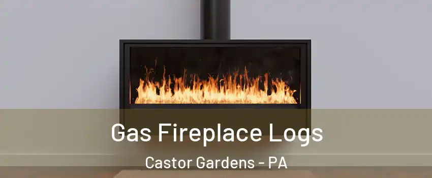 Gas Fireplace Logs Castor Gardens - PA
