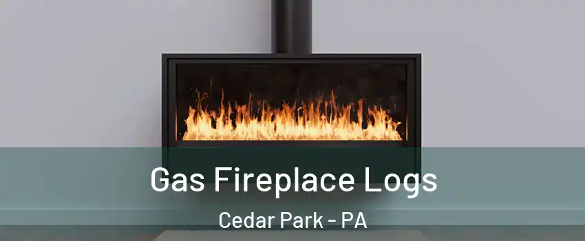 Gas Fireplace Logs Cedar Park - PA