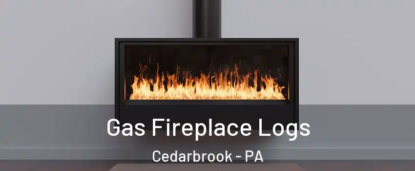 Gas Fireplace Logs Cedarbrook - PA