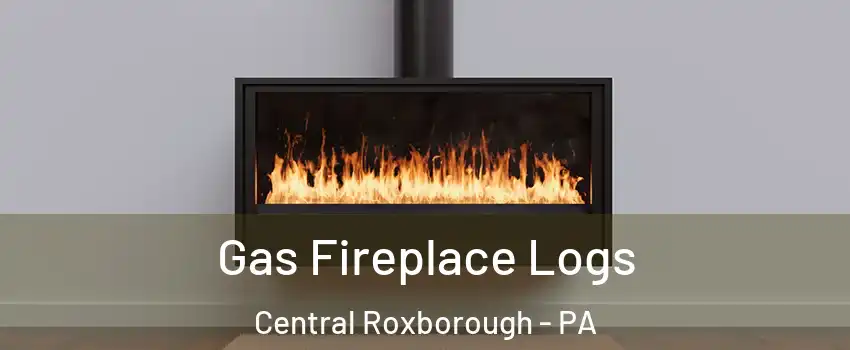 Gas Fireplace Logs Central Roxborough - PA