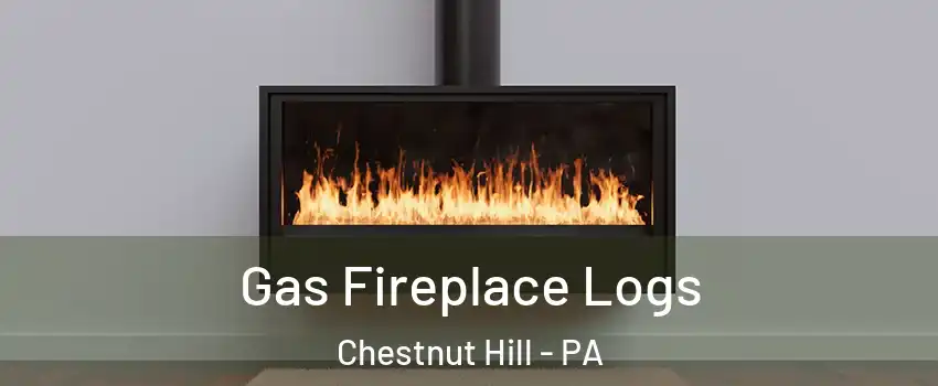 Gas Fireplace Logs Chestnut Hill - PA